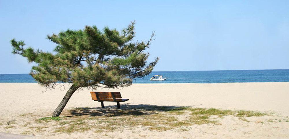 Pine Beach Jangjang Kültér fotó